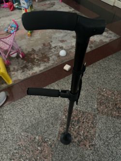 Cane