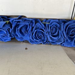 Blue Flowers