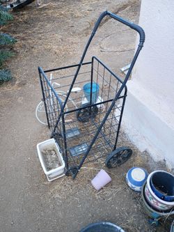 Push cart