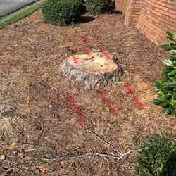 Stump Grinding 