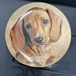 Danbury Mint Limited Edition Collection “ Cherished Dachshund “ China Plate “Eyes Of Love”