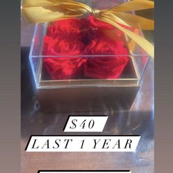 Forever Roses 