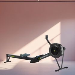 Concepts 2 RowErg Model D