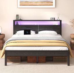 2 Full size LED beds