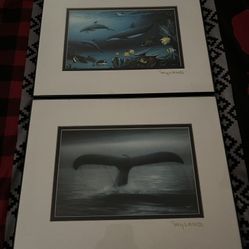 Set  Of Nautical Pictures 
