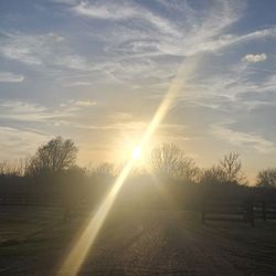Pasture Space For Horses (6)