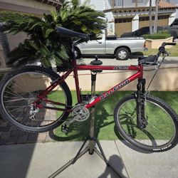 1999 Raleigh M60 20 Inch