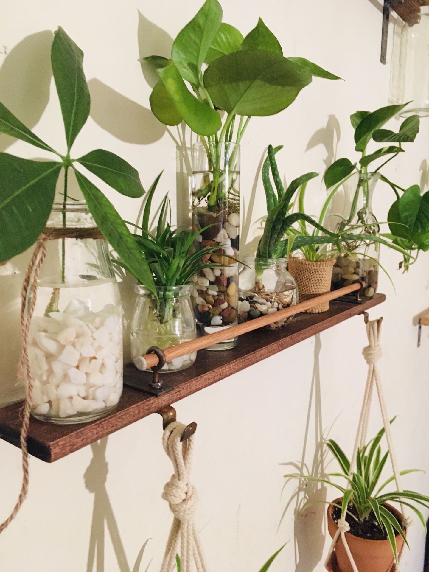 Handmade Wall Shelf with Plants