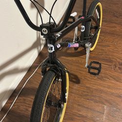 2024 GT pro Performer