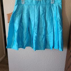 Blue Pleated Skirt