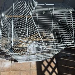 Beautiful White Bird Cage 