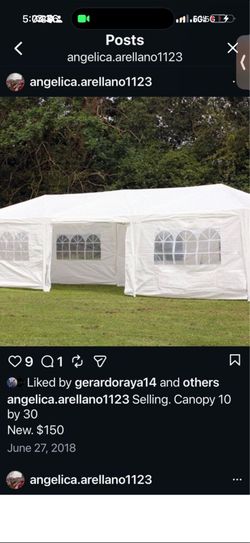 Canopy 10x30