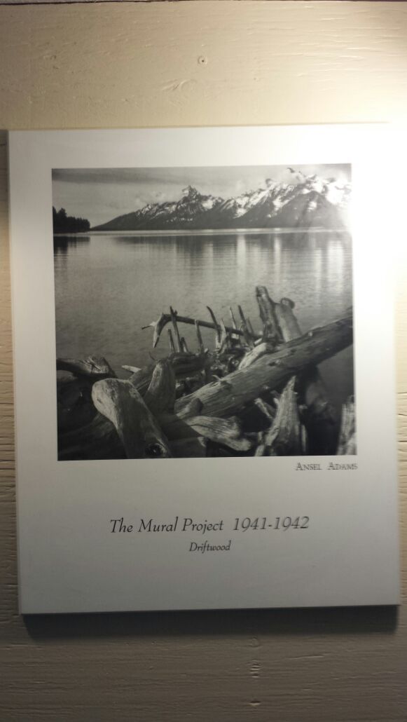 Ansel Adams B/W photo print "Driftwood" The Mural Project 1941-1942