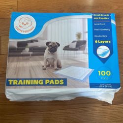 Potty Training Pads 