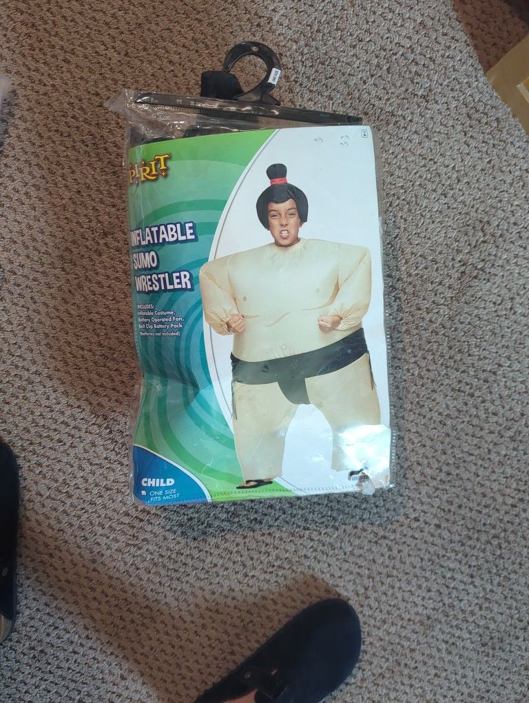 Sumo Wrestler
