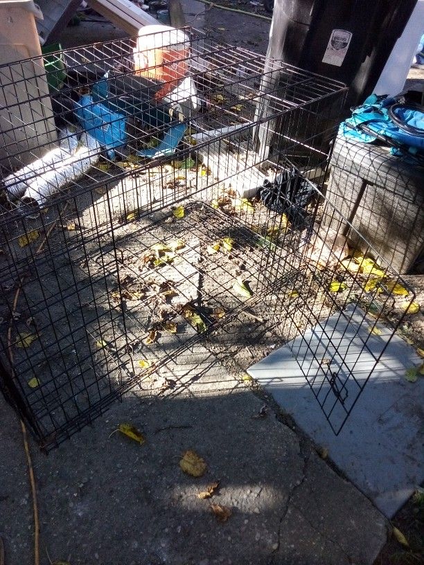 Dog Cage