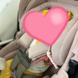 UPPAbaby Car Seat