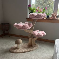 Cat Tree / Scratcher