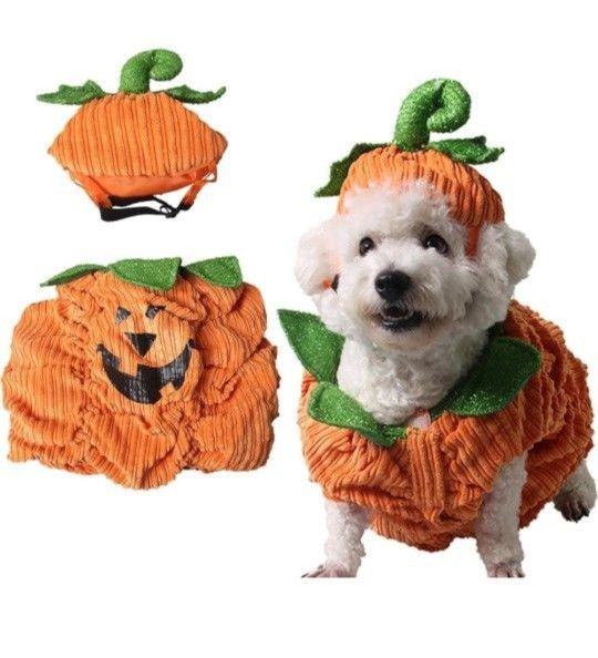 Pet Pumpkin Costume