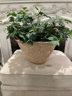 Beautiful large basket with greenery