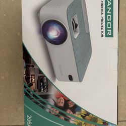 Multimedia Projector