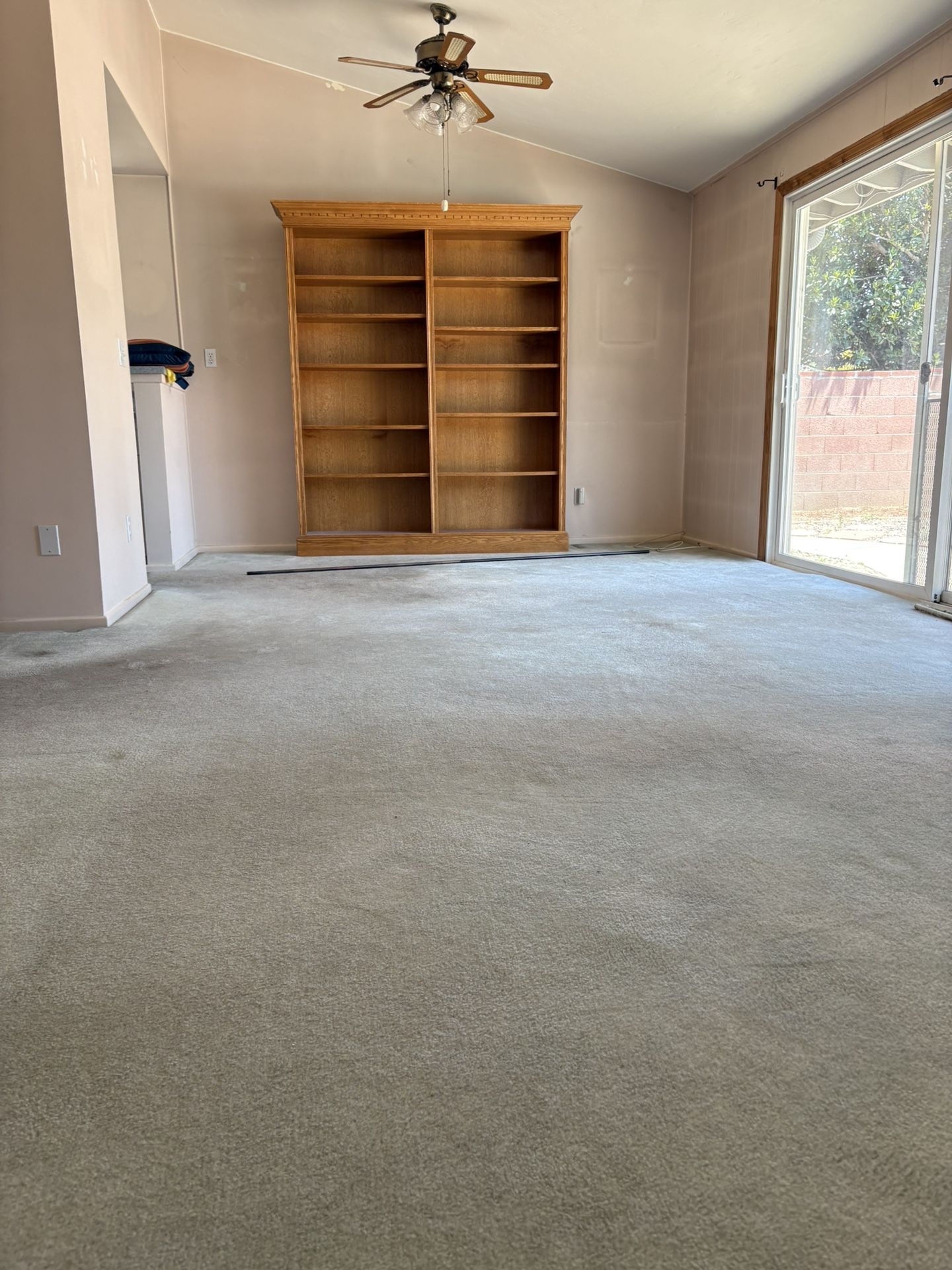 Extra Large Solid Glass Oak Bookshelf