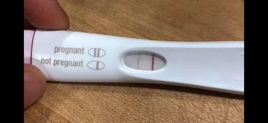 Pregnancy Test