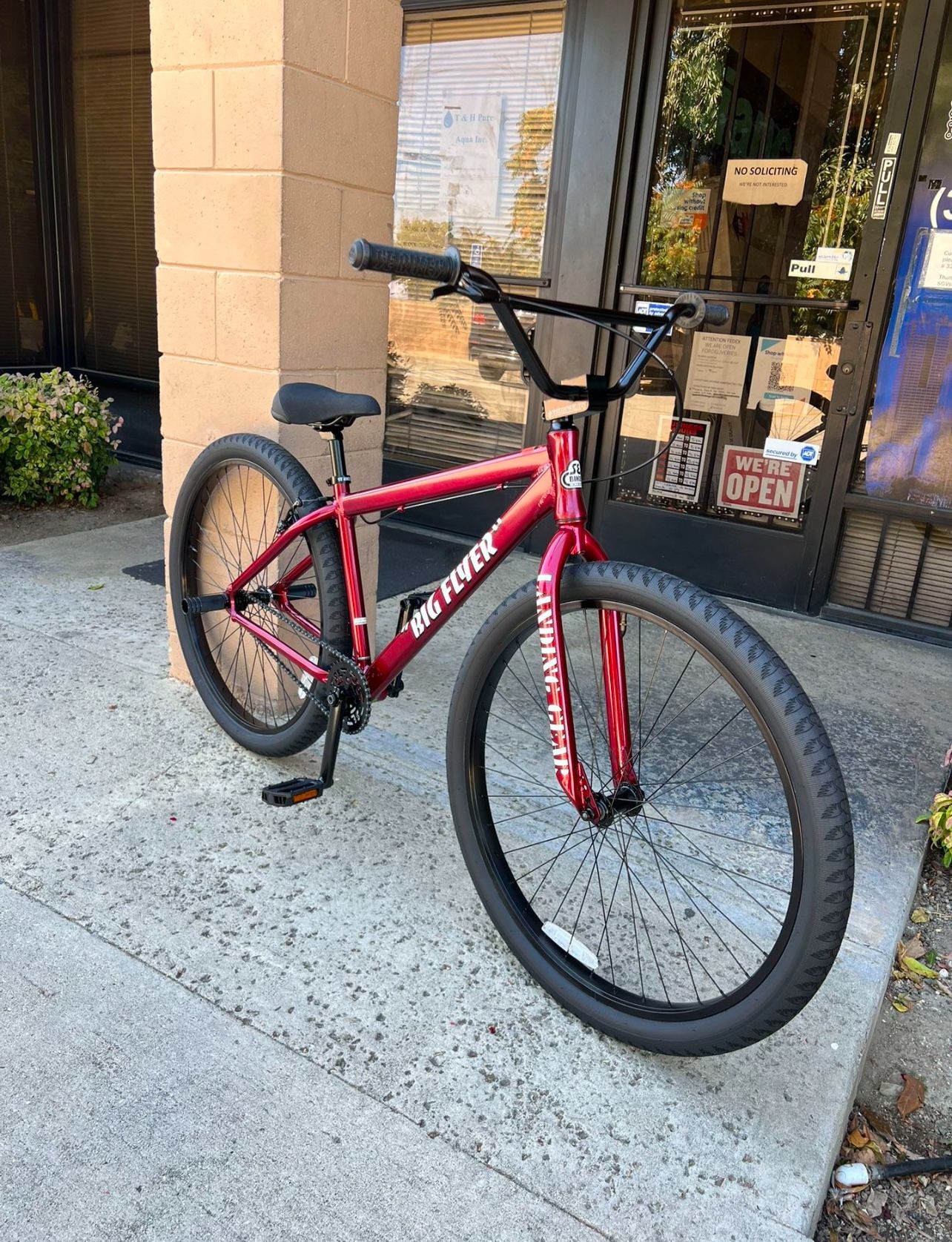 Se Bikes Big Flyer 29" BMX Bike