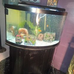 To Fish Tank And A New In The Box Heat Press 