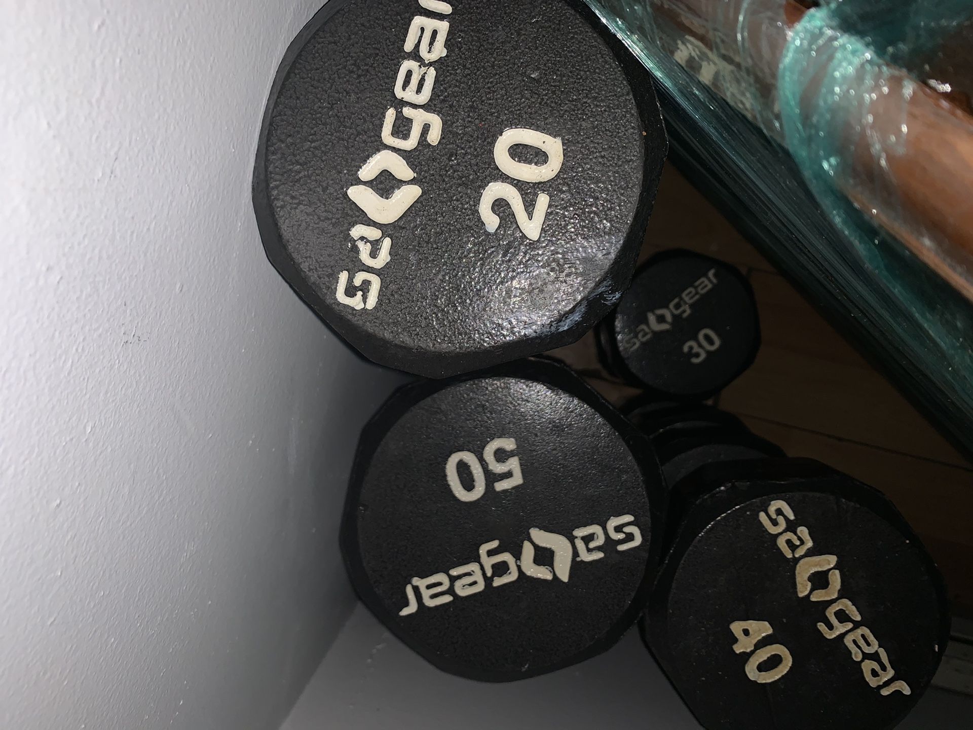 SA Gear dumbbells