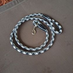 Dog Leash 