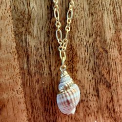 14K Gold Edged Conch Shell Necklace