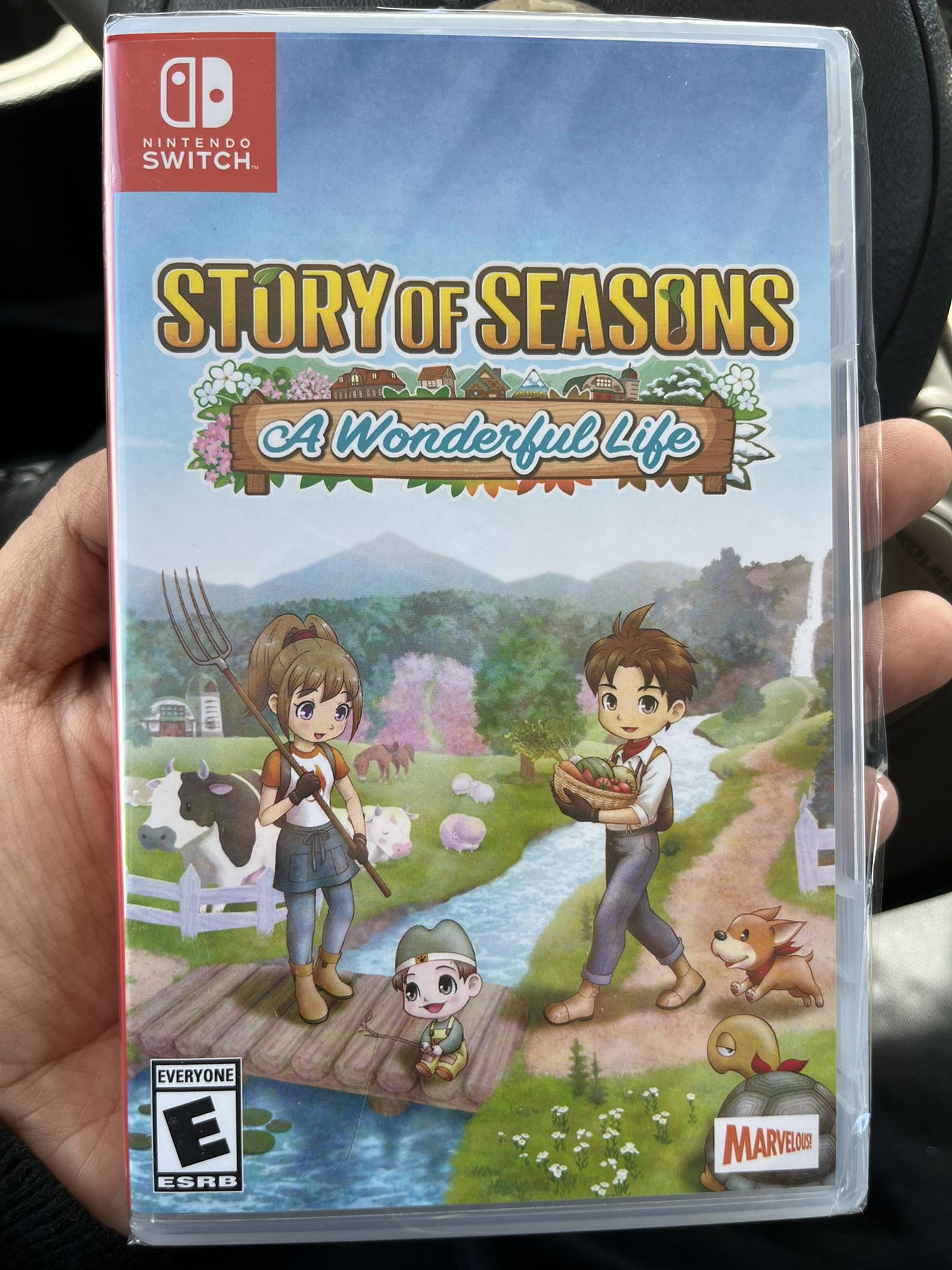 Story Of Seasons for Nintendo Switch