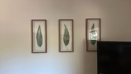 3 set leaf pictures