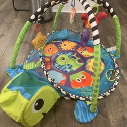 Turtle Baby Activity Mat