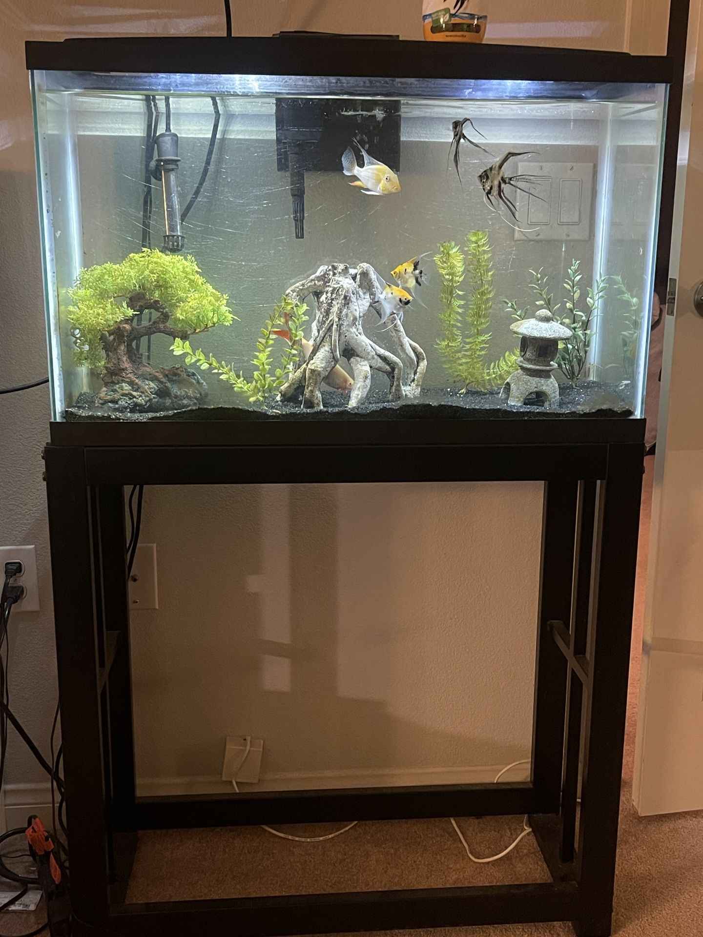 29 Gallon Tank 