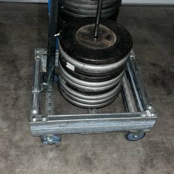 45 Pound weights 