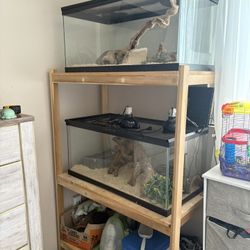 Reptile Tanks And Shelves 