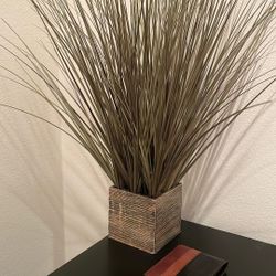 Fake Plant 