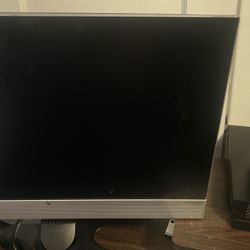 Setup Controller With Mic And Battery And Capples