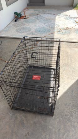 Kennel