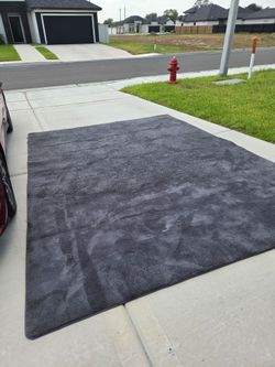 Carpet 9 x12