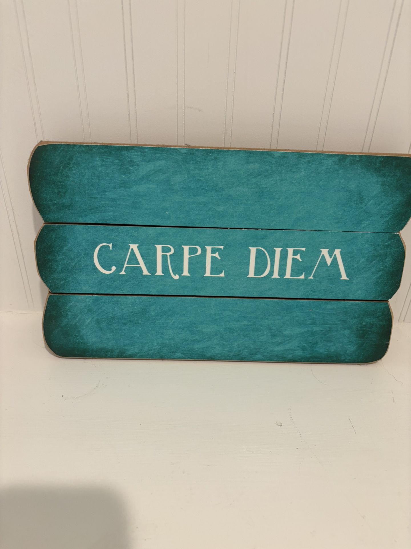 Pier 1 Carpe Diem Wall Decor