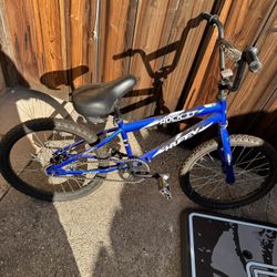 Kids Bike And Basketball Court 