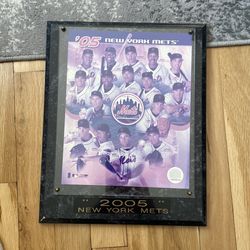 2005 Mets frame