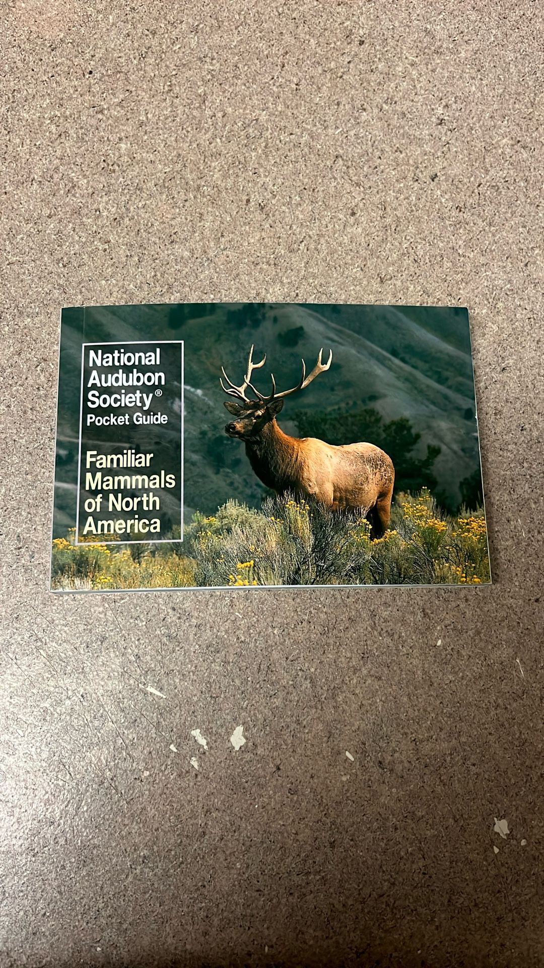 national audubon society pocket guide familiar mammals of North America