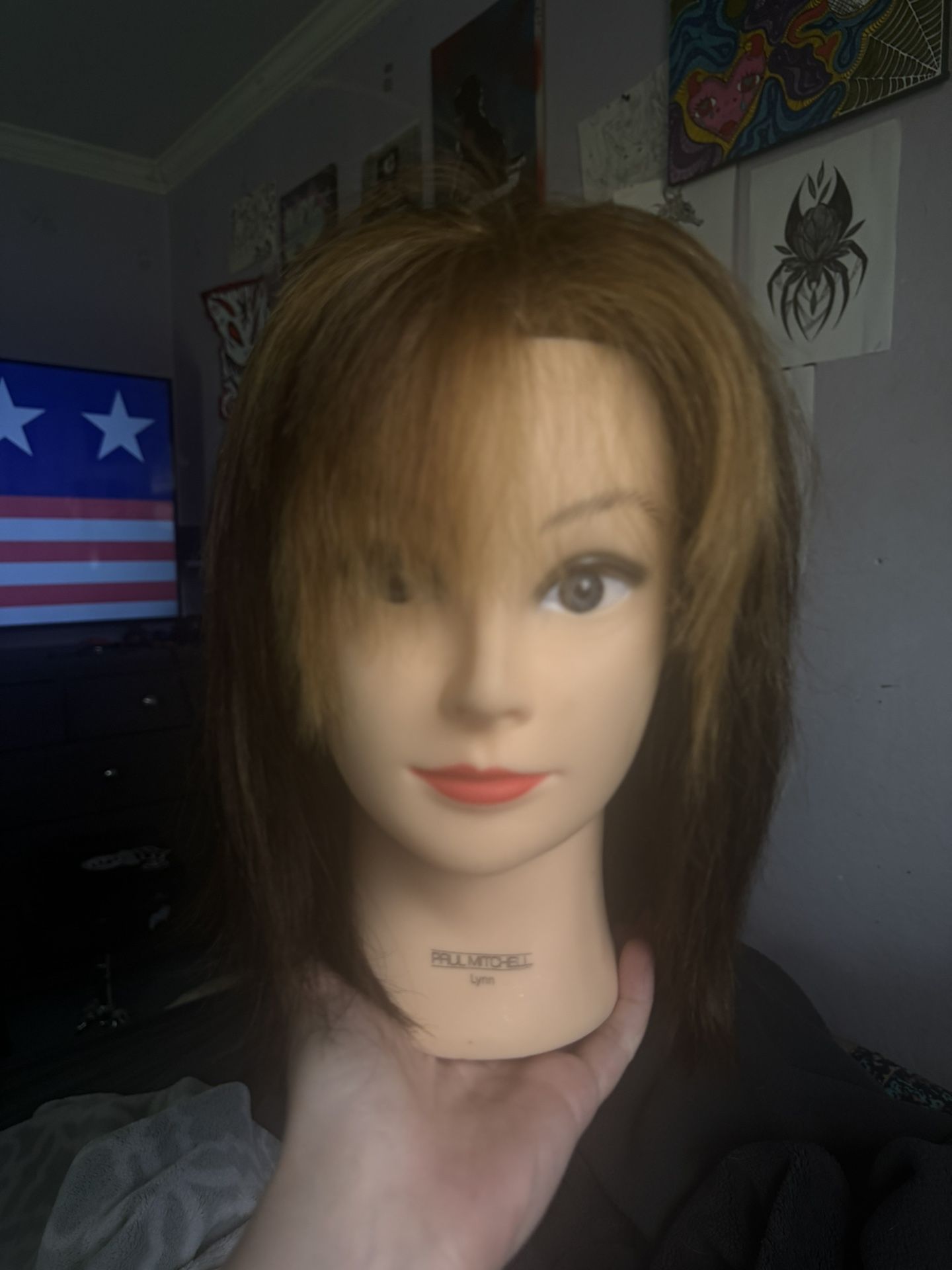 Paul Mitchell Doll Head/mannequin Head