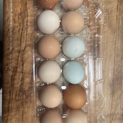 Fresh Organic Chicken Eggs