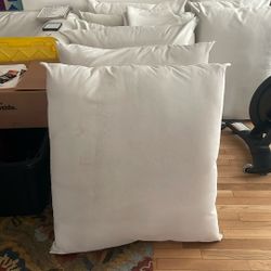 Pillows.  Out Door Party Pillows. 9 