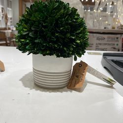 Woodbox- Striped Jar 